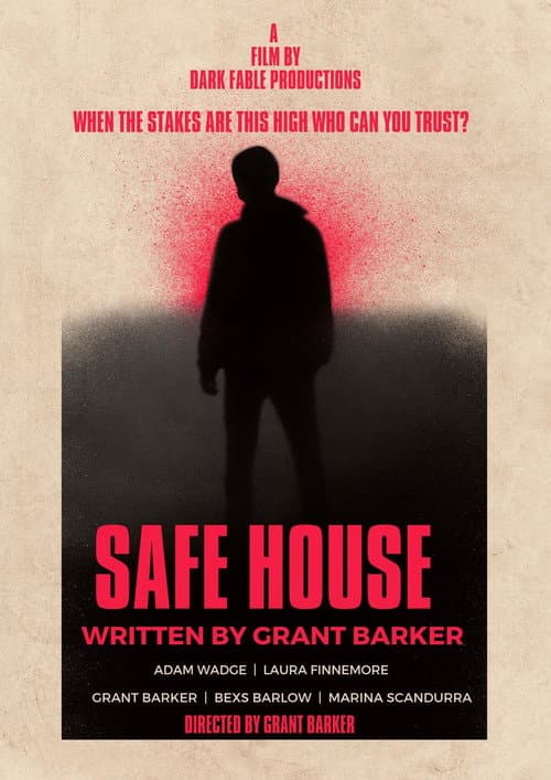 Poster for Safe House