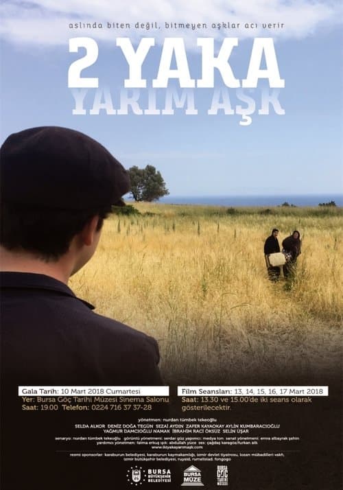 Poster for Torn Love
