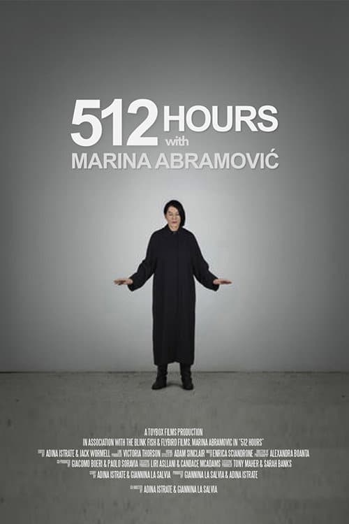 Poster for 512 Hours