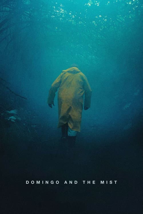 Poster for Domingo and the Mist