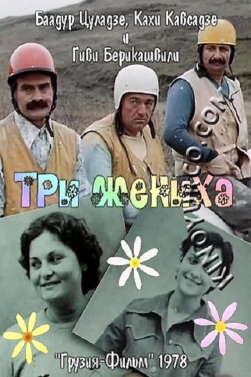 Постер до фільму «Троє наречених»