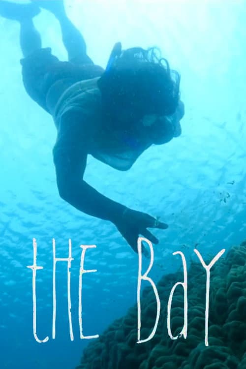 Poster for The Bay