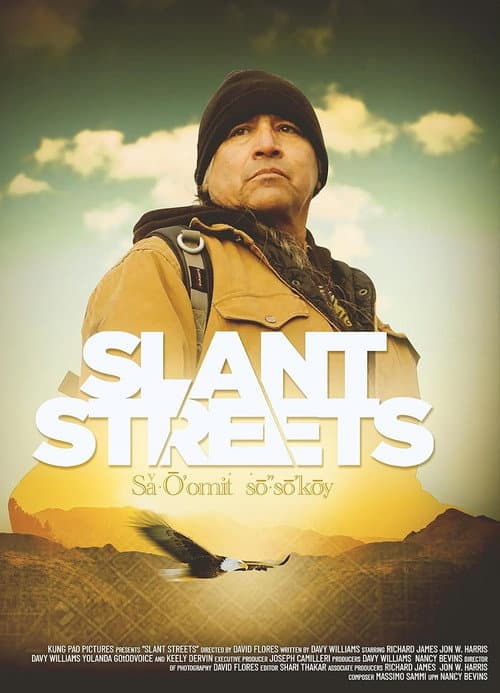 Poster for Slant Streets