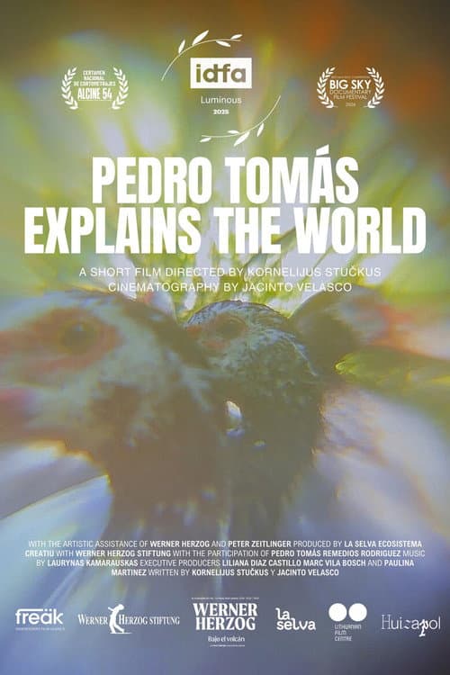 Poster for Pedro Tomás Explains The World