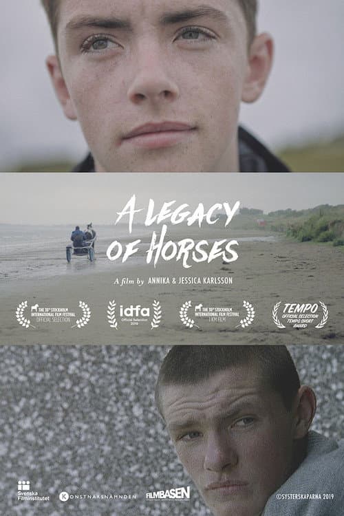 Poster for A Legacy of Horses