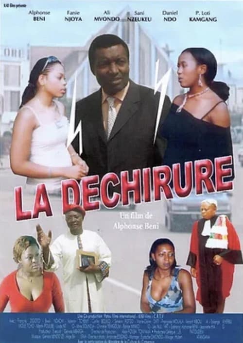 Poster for La déchirure