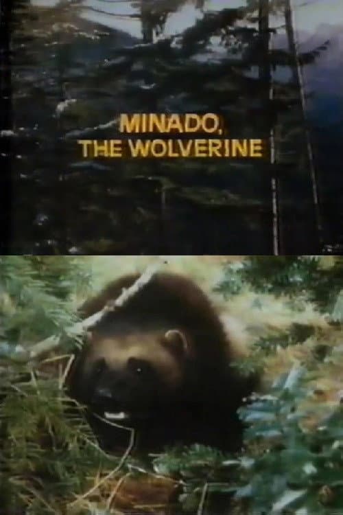 Poster for Minado, the Wolverine