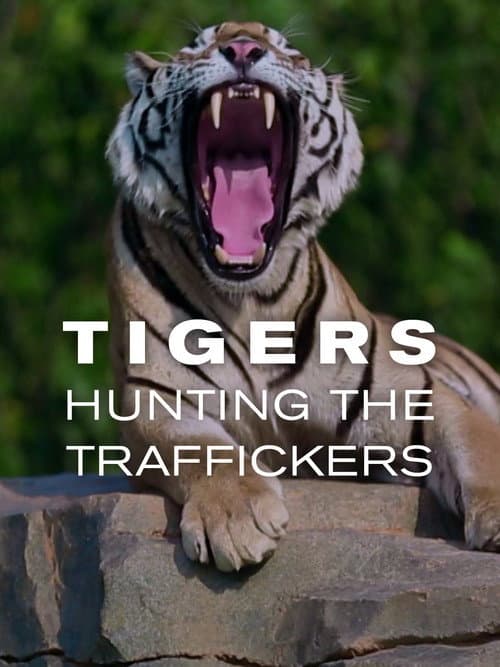 Poster for Tigers: Hunting the Traffickers