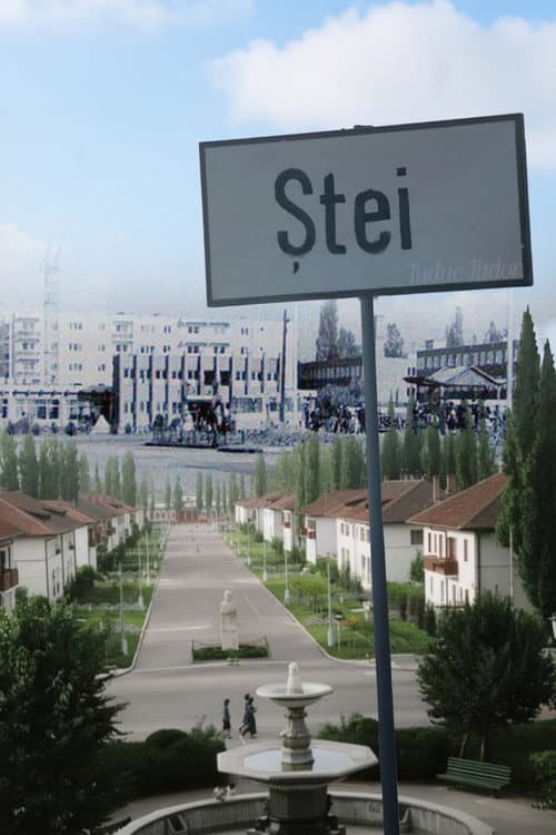 Poster for Ștei