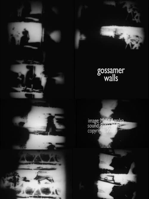 Poster for Gossamer Walls