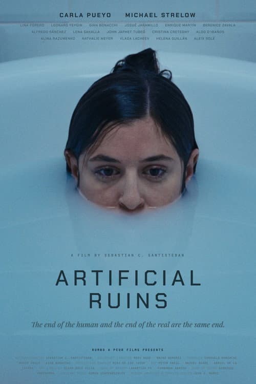 Poster for Artificial Ruins