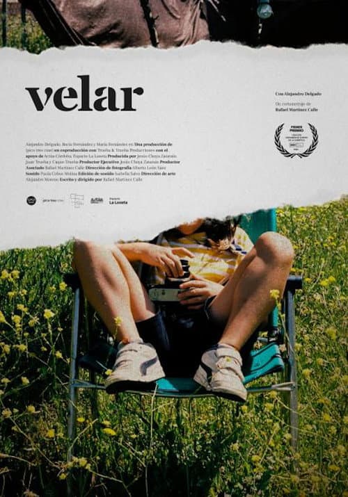 Poster for Velar
