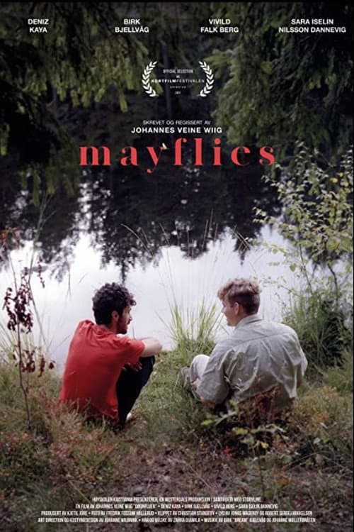 Poster for Mayflies