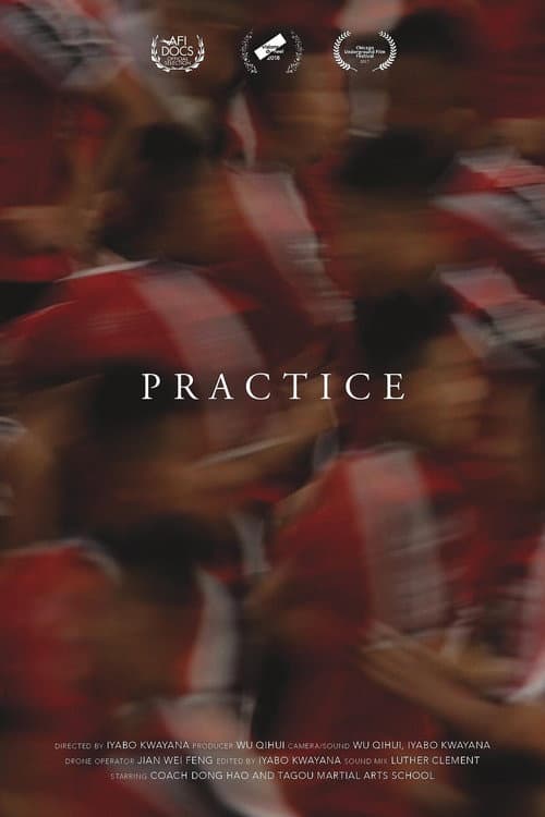 Poster for Practice