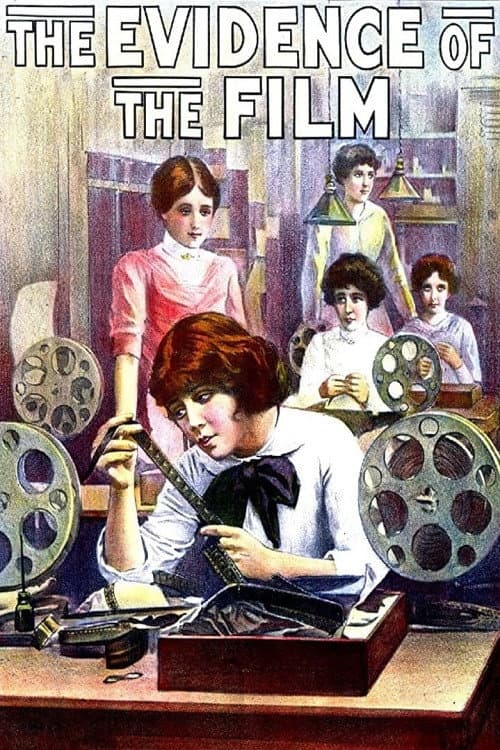 Постер до фільму «The Evidence of the Film»