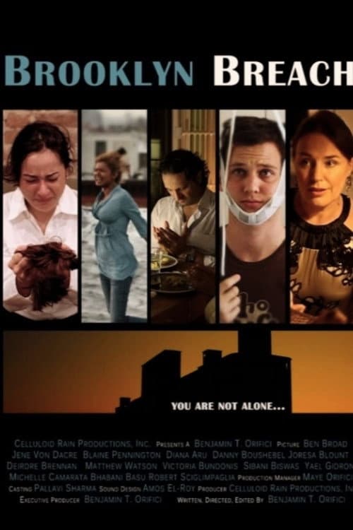 Poster for Brooklyn Breach