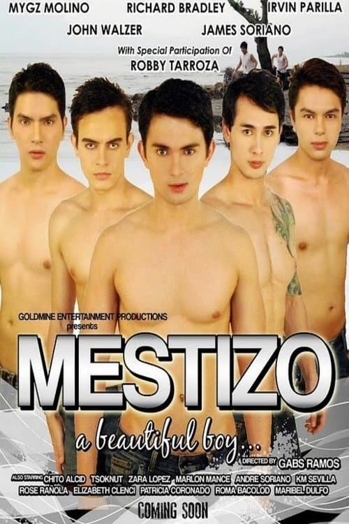 Poster for Mestizo: A Beautiful Boy