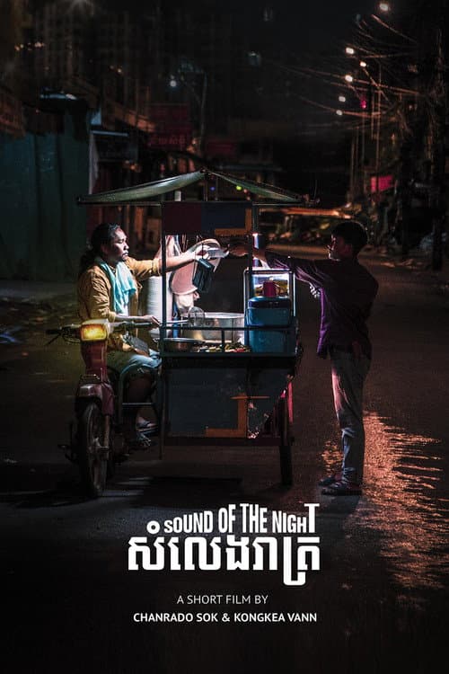 Poster for Sound of the Night