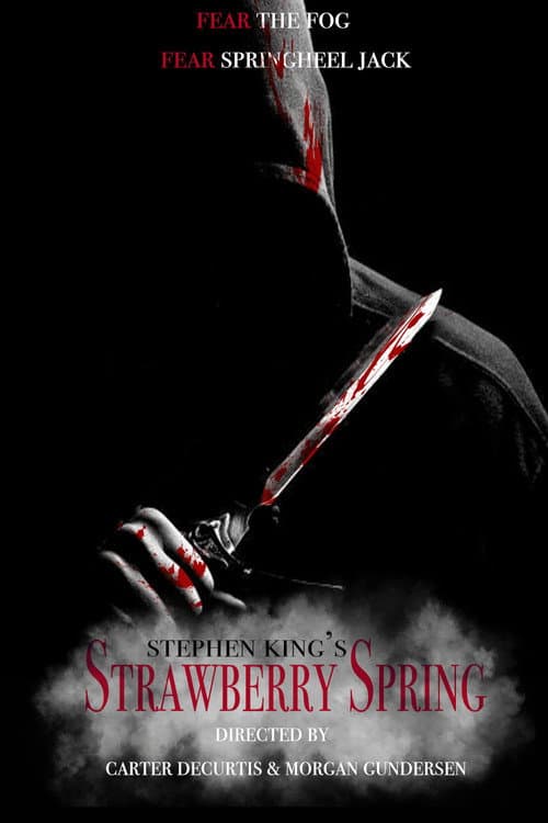 Poster for Strawberry Spring