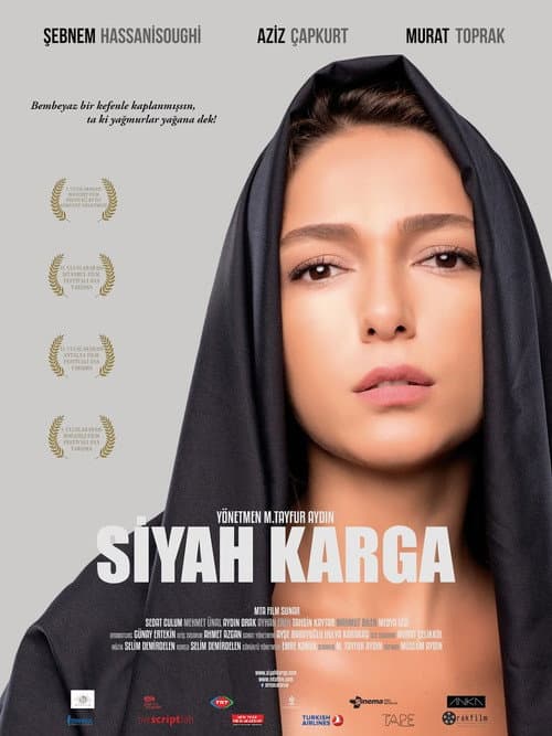 Poster for Black Crow