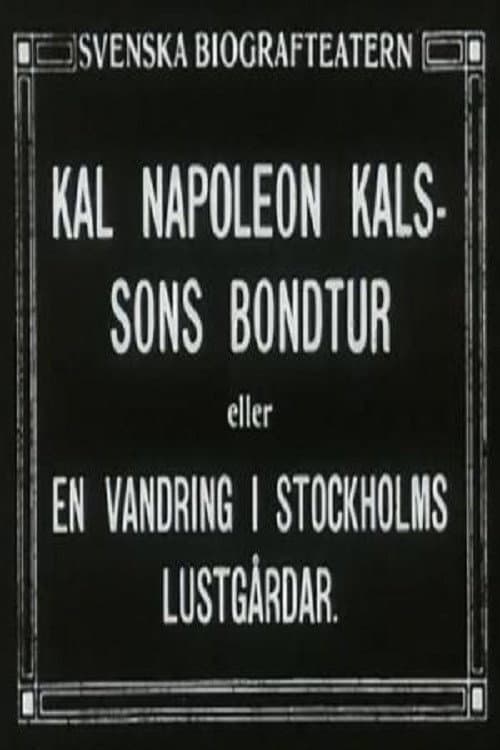 Poster for Kal Napoleon Kalsson's Stroke of Luck