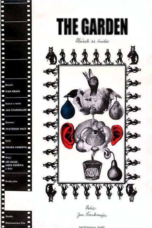Poster for The Garden