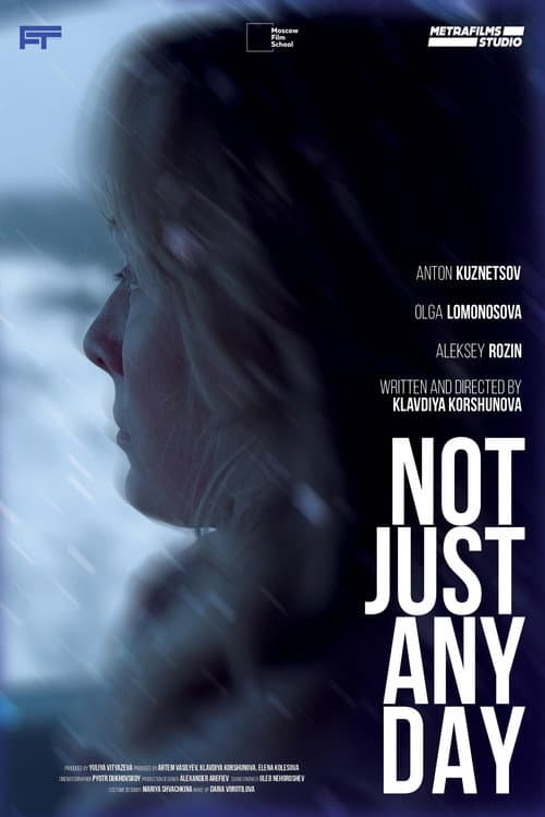Poster for Not Just Any Day