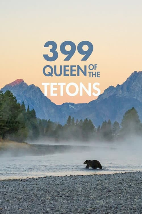 Poster for Grizzly 399: Queen of the Tetons