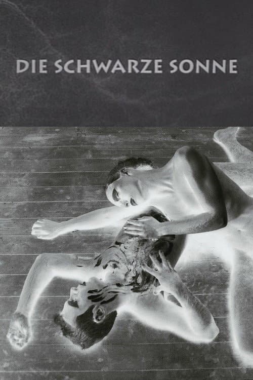 Poster for The Black Sun
