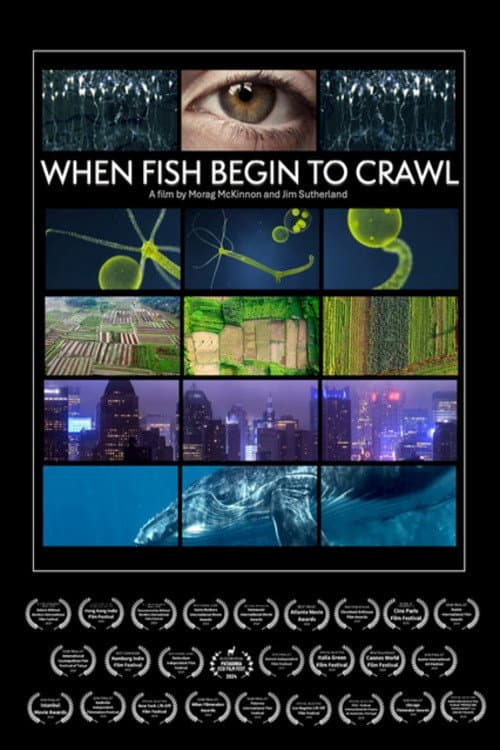 Poster for When Fish Begin to Crawl