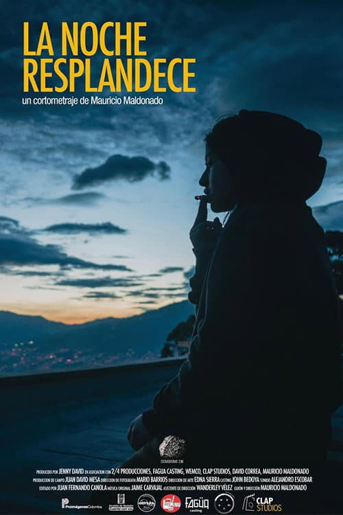 Poster for The Night Shines
