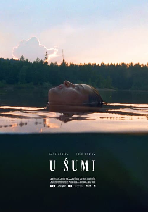 Poster for In the Woods