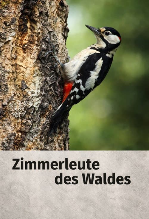 Poster for Woodpecker