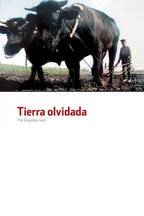 Poster for The Forgotten Land