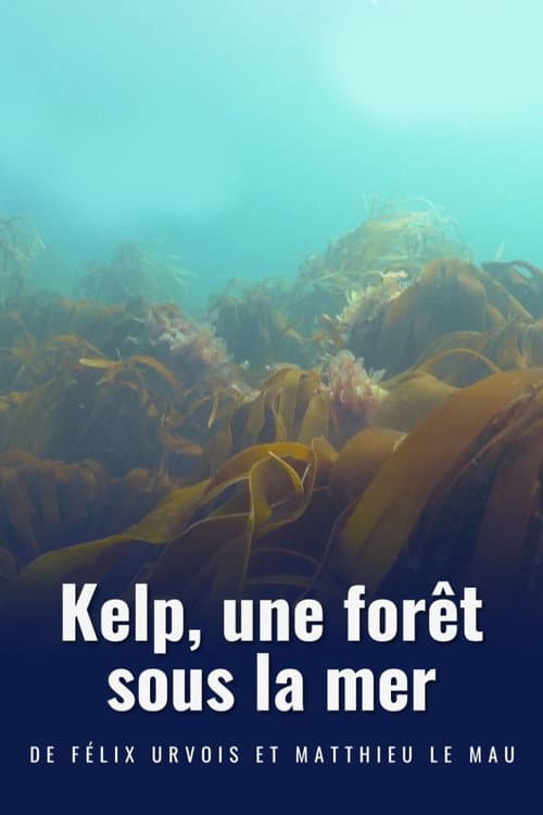 Poster for Kelp, une forêt sous la mer