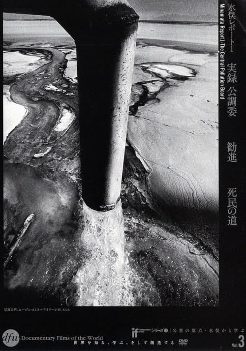 Poster for Minamata Report 1 - The Central Pollution Board