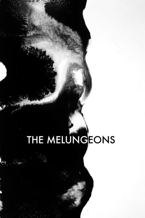 Poster for The Melungeons