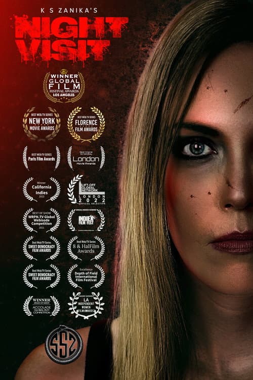 Poster for Night Visit