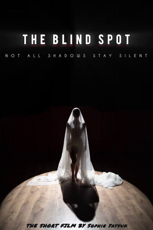Poster for The Blind Spot