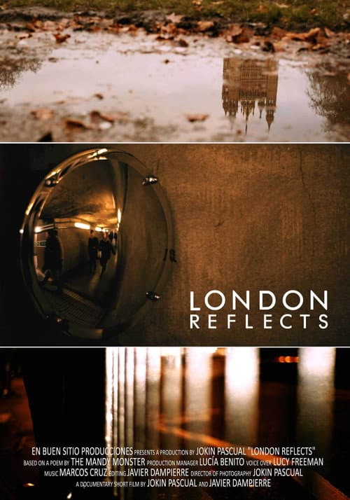 Poster for London Reflects