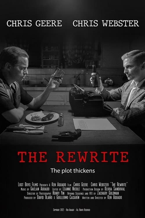 Poster for The Rewrite