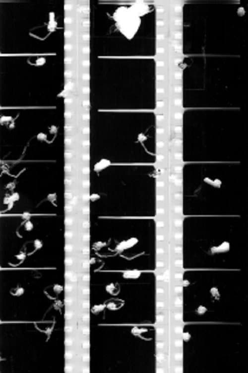 Poster for Shot Film