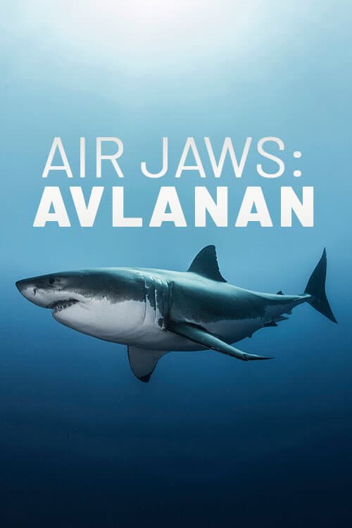 Poster for Air Jaws: The Hunted