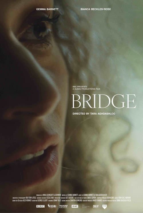 Poster for Bridge
