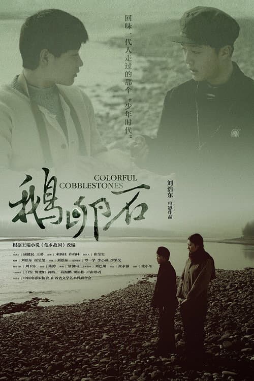 Poster for Colorful Cobblestones