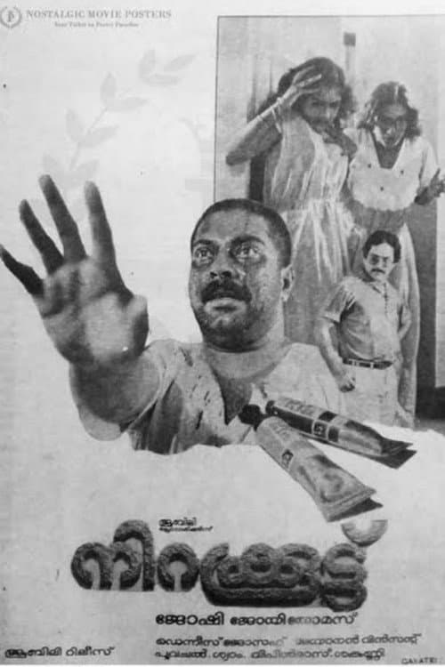 Poster for Nirakkoottu