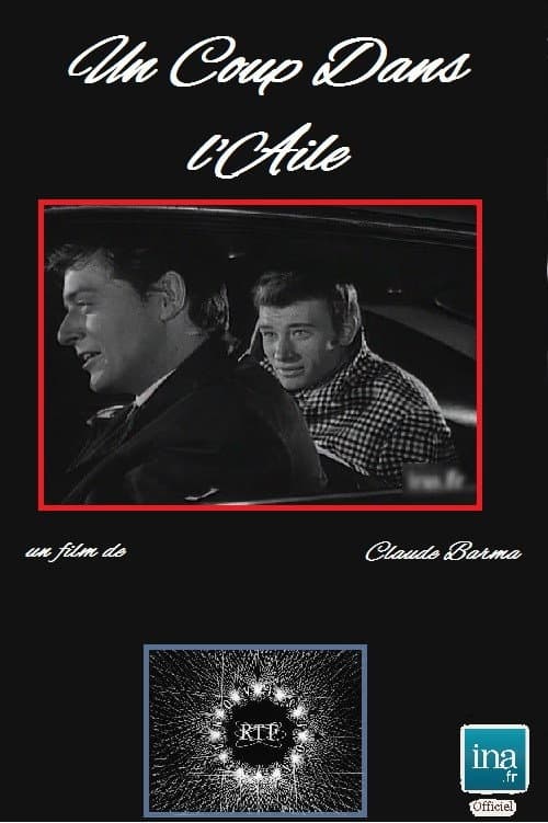 Poster for Un coup dans l'aile