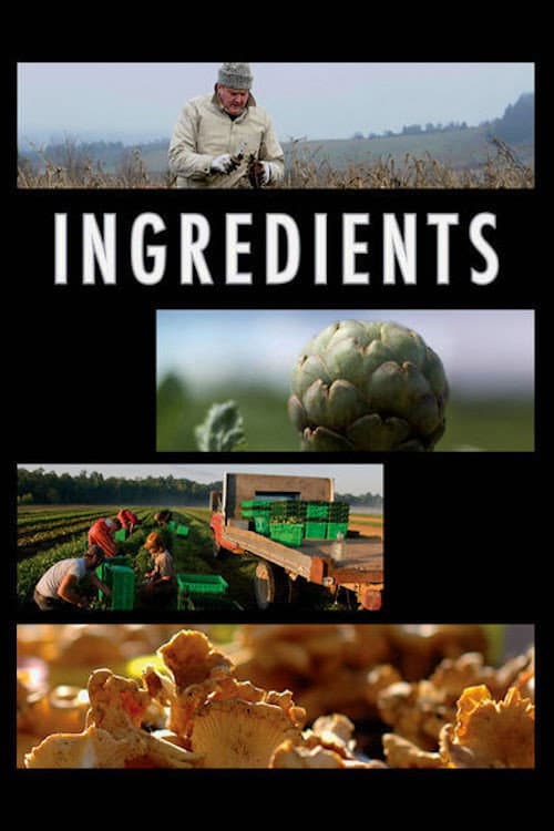 Poster for Ingredients