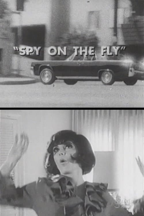 Poster for Spy on the Fly