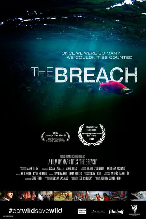 Poster for The Breach